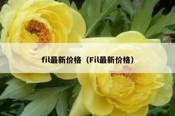 pi币钱包app下载 PI币app软件下载-第6张图片-欧易交易所