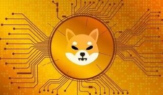 shi币手机钱包下载 shi币安卓手机下载