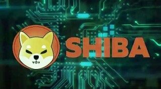 屎币app安卓手机下载 shib交易平台安卓手机版