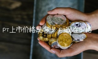 pi上市价格是多少