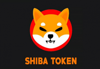 SHIB前五名持有者是谁?