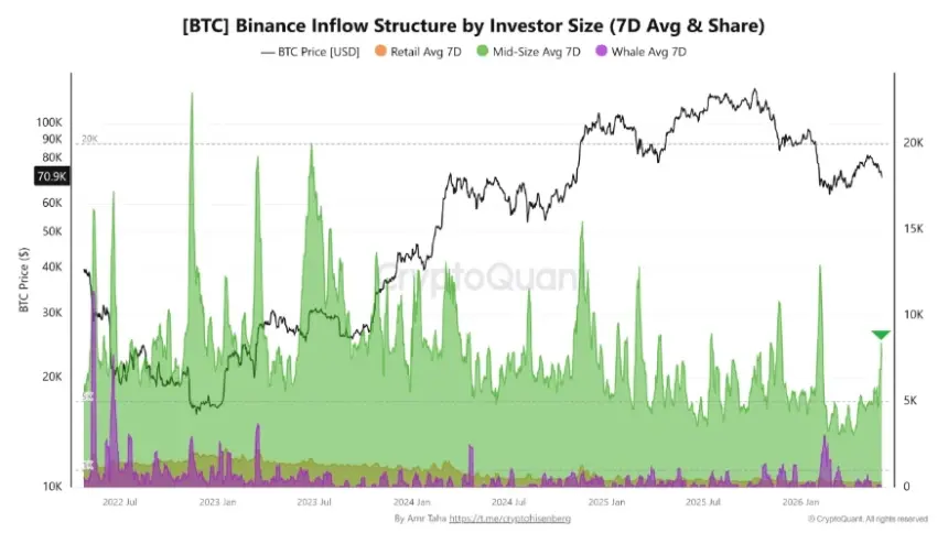 Chart showing Bitcoin liquidations and price action